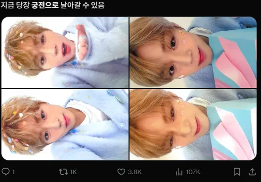 이미지 = X캡처 (https://x.com/Jihun_flower/status/1927972668424282243)