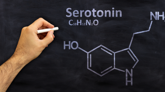 명상은 세로토닌을 활성화시킵니다