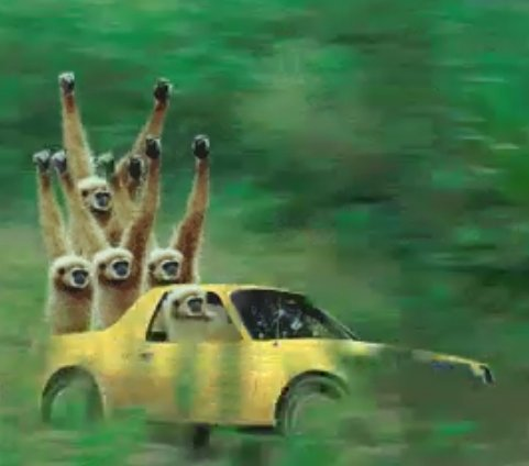 3일간의 대환장 버스이동에서 탈주 성공