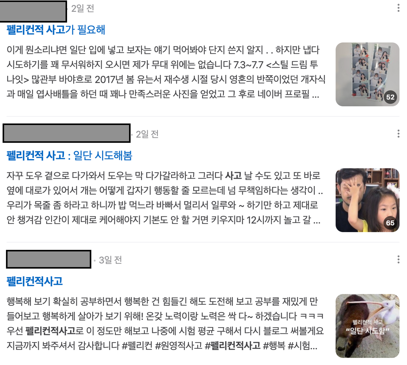 이미지 = 네이버 캡처 (https://m.search.naver.com/search.naver?sm=mtp_hty.top&where=m&query=펠리컨적+사고)