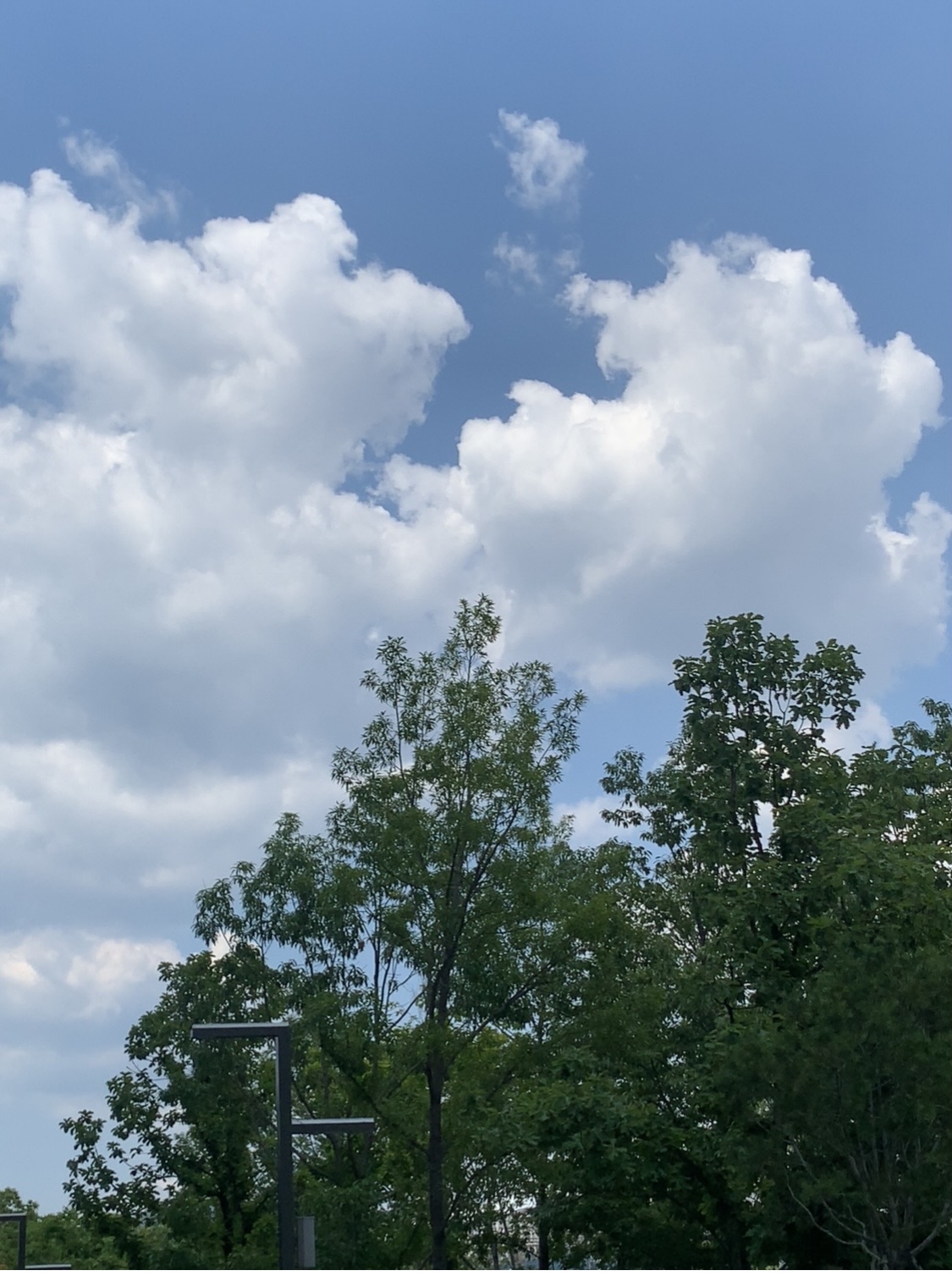 청량한 여름 하늘입니다☁️☁️