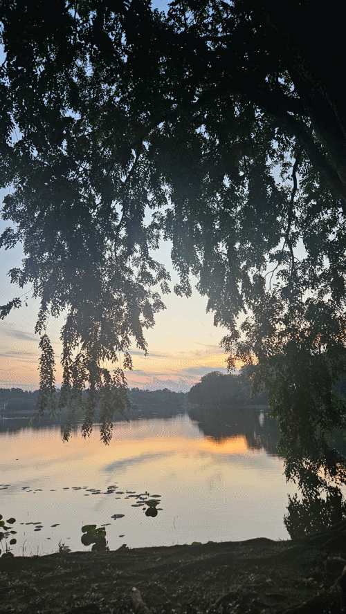 최근 사진 찍기에 푹 빠진 김서율 작가님의 작품 공개!