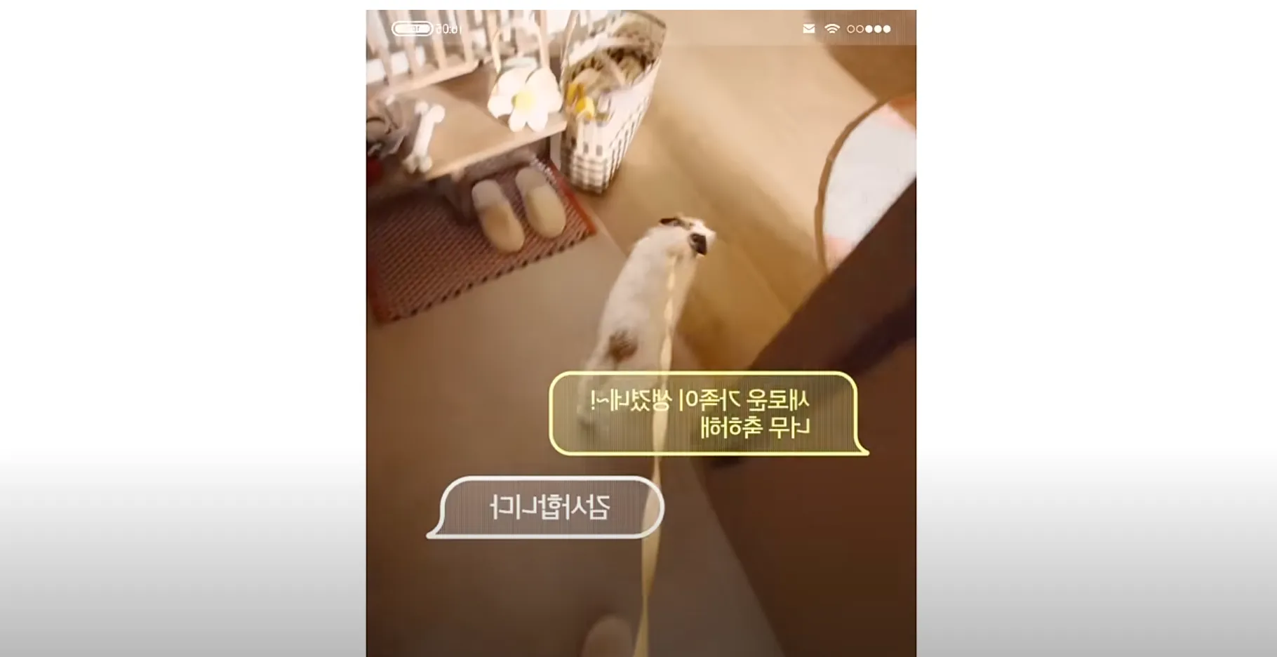 출처: KB손해보험