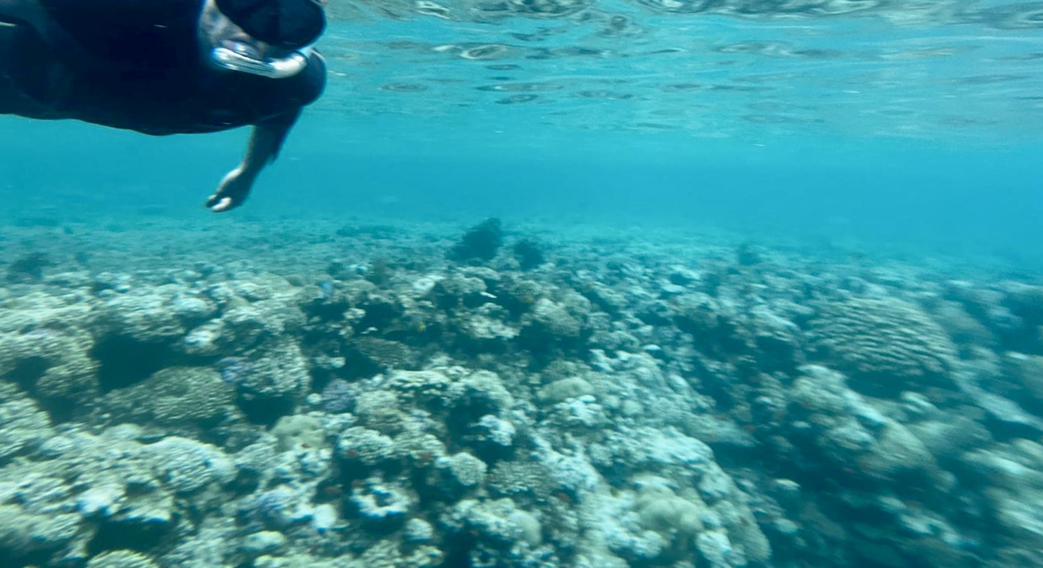 루나와 루나 남친이랑 다녀온 블루홀. WOW.