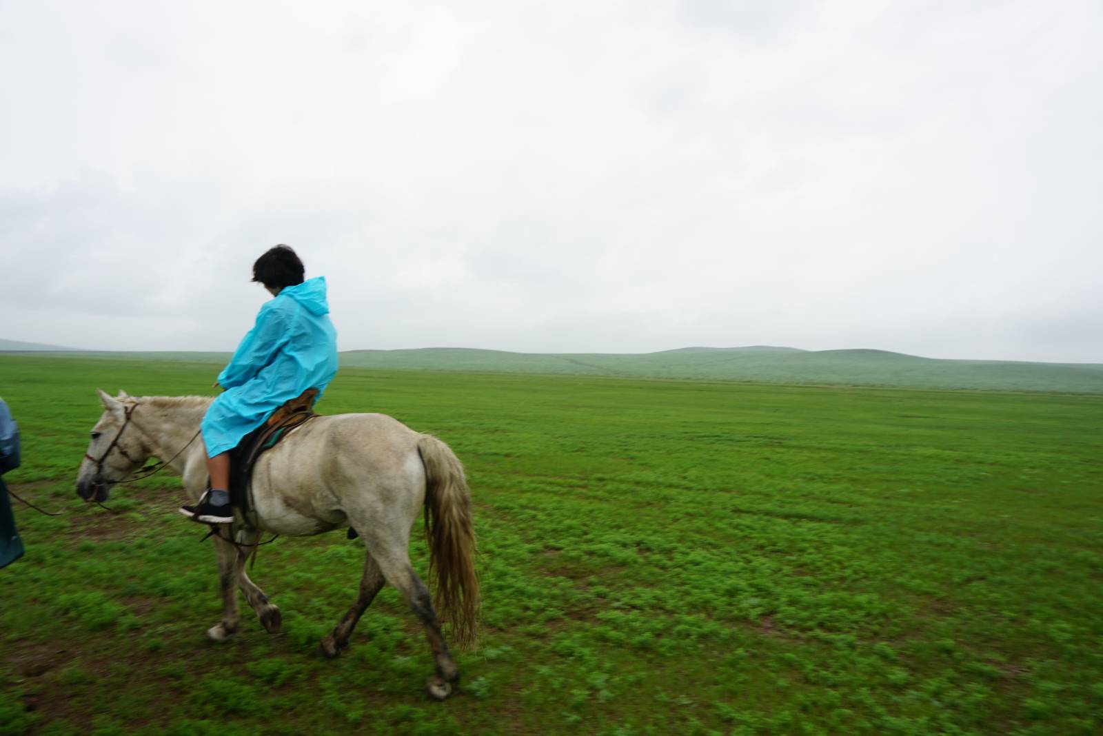 몽골의 초원에서 말을 타고 달리기 