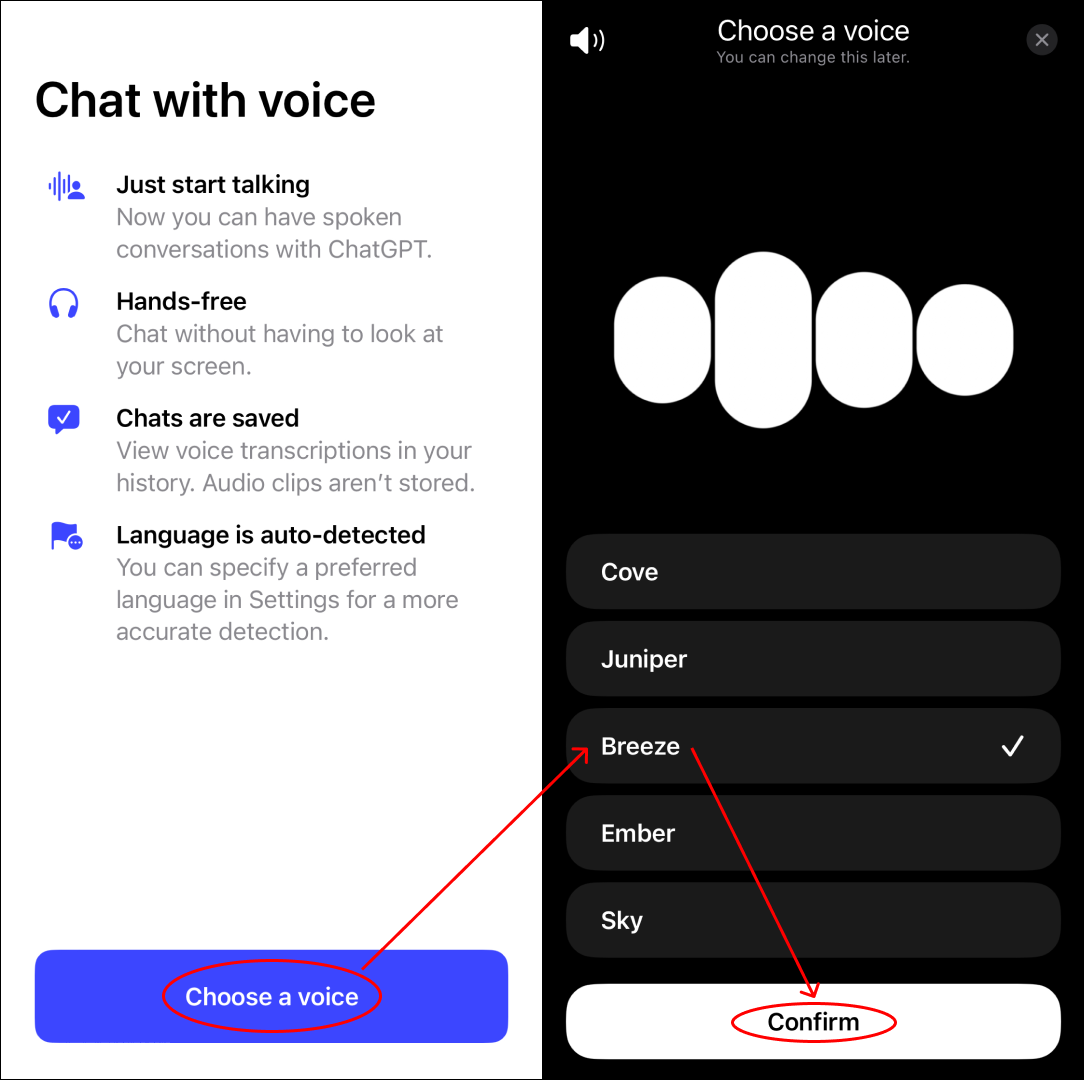 ChatGPT앱에서 음성 선택