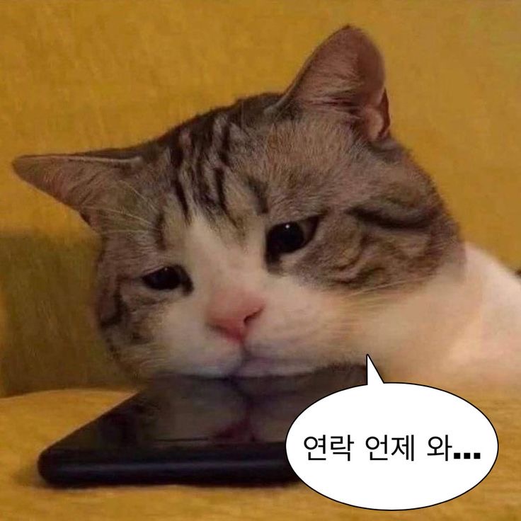 첨부 이미지
