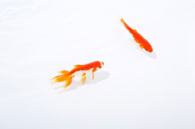 자료:&nbsp;https://blog.naver.com/2mcool/221193246482