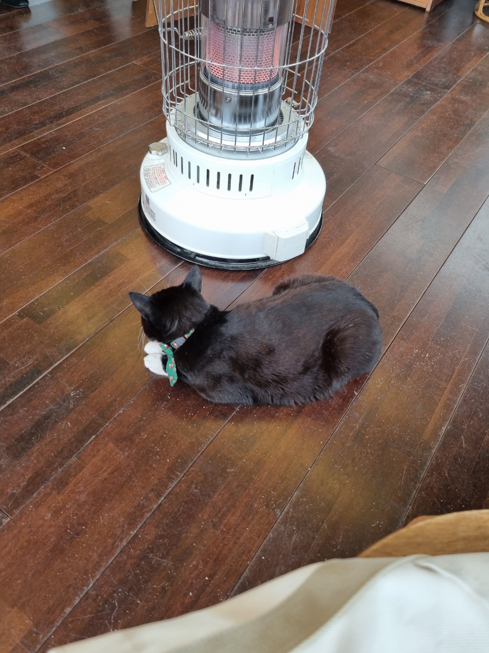 따뜻한 곳은 못 참지