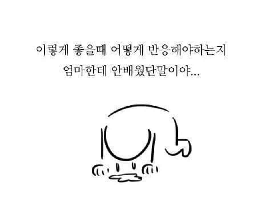 이미지 = 네이버 블로그 캡처 (https://blog.naver.com/adoic/222876840259)