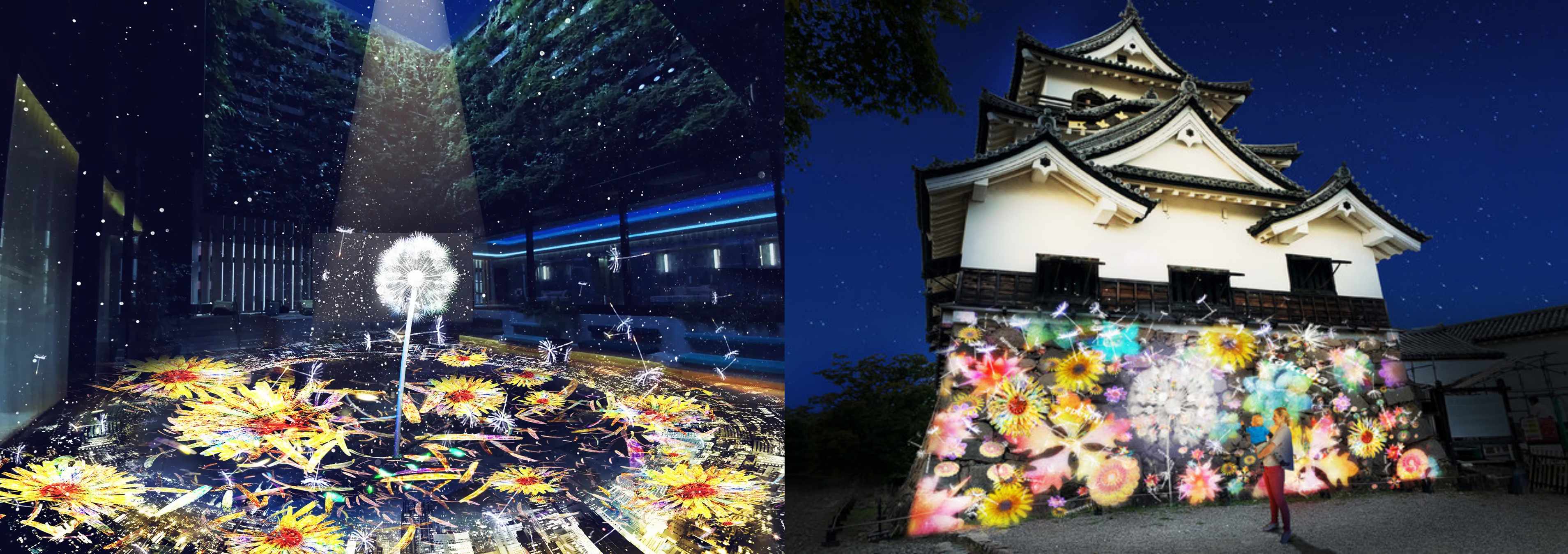 샌프란시스코와 상하이까지 날아간 탄포포. 희망은 어쩌면 어디가의 바람을 타고 찾아올까요.