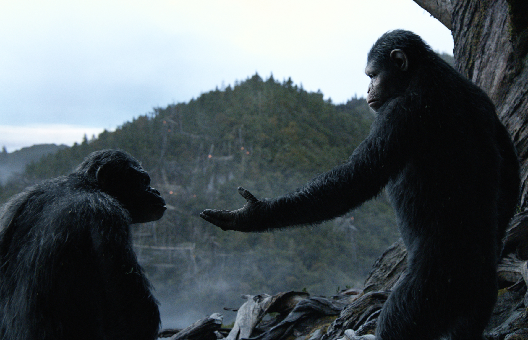 [1인분 영화] ‘혹성탈출: 반격의 서막’ – SF 세계관에 디스토피아가 많은 이유(하) (2020.10.14.)의 썸네일 이미지