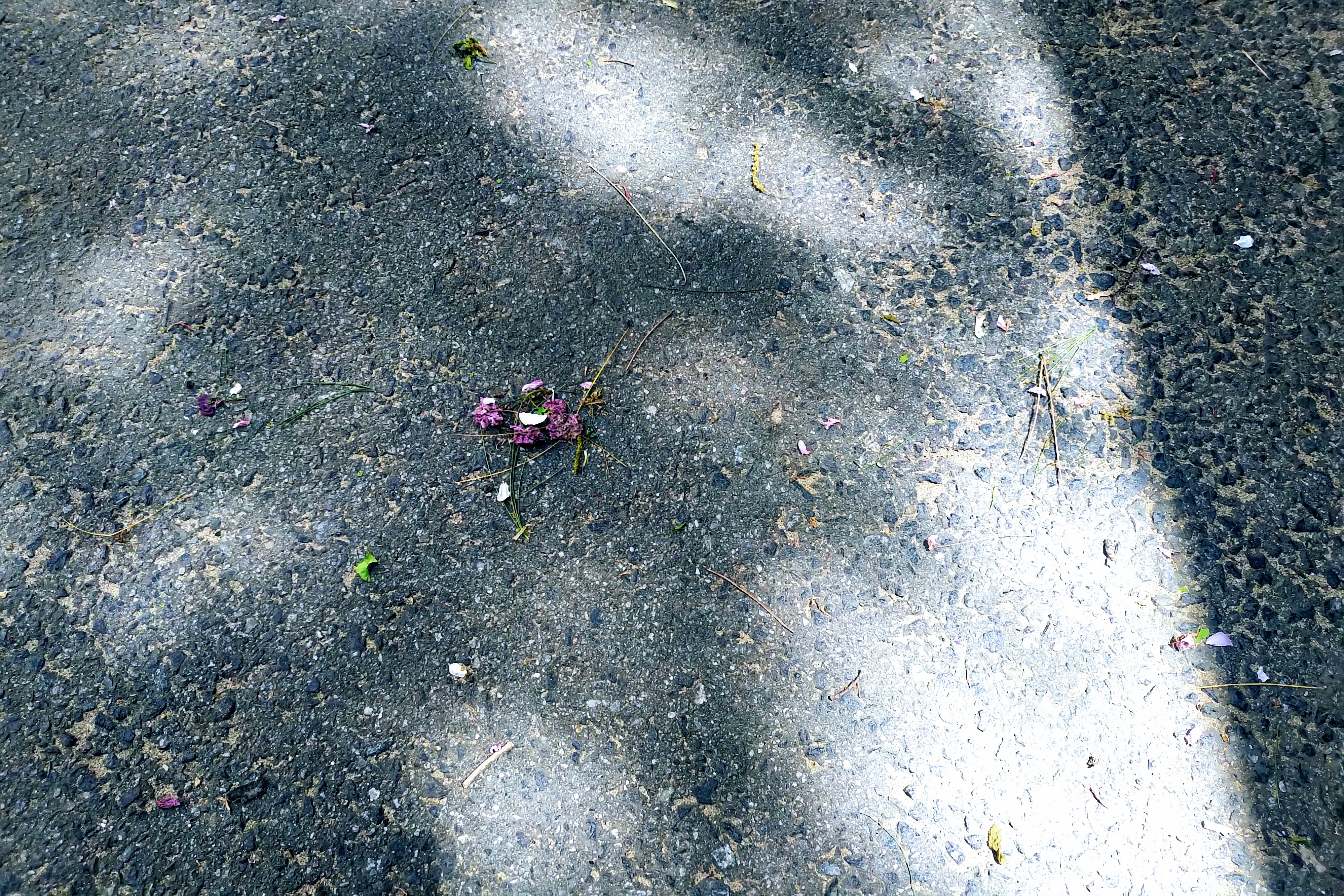 저희 집 아파트 단지, 비개인 아마도 늦은 아침이었을 거에요.