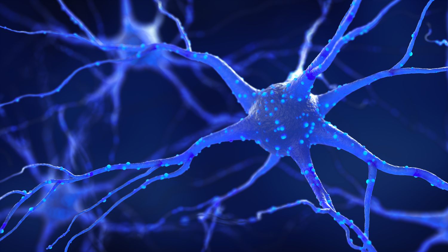 👐 How does our brain learn? 의 썸네일 이미지