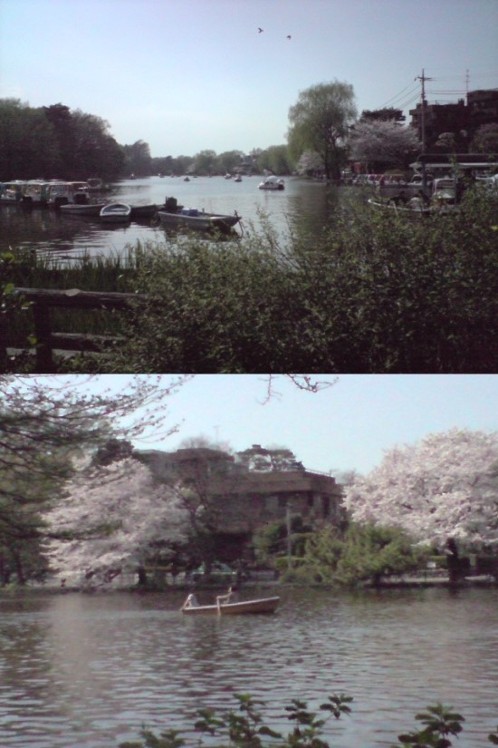 샤쿠지공원 풍경. 그 시절 폰이라 화질이..😅