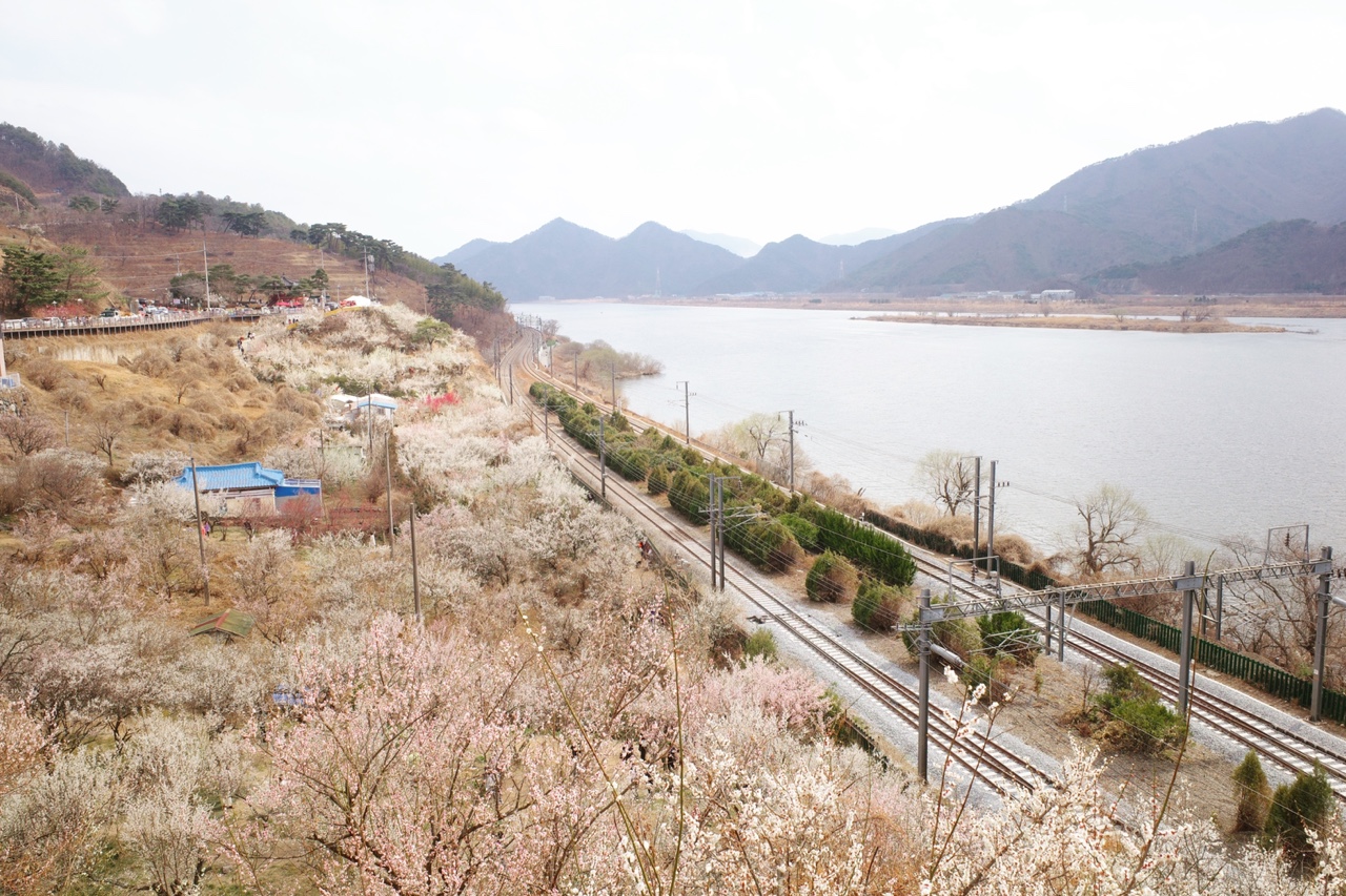 기차와 함께 찍고 싶었지만, 실패했습니다.