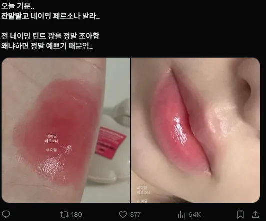 이미지 = X캡처 (https://x.com/na_irong/status/1943521011753980300)