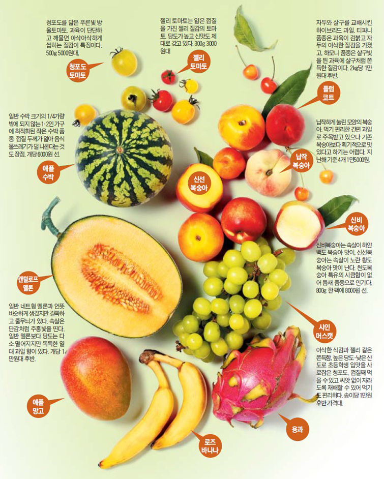 요즘 요런 애들이 핫하다고...! 몇개나 먹어봤는지 체크해보자.