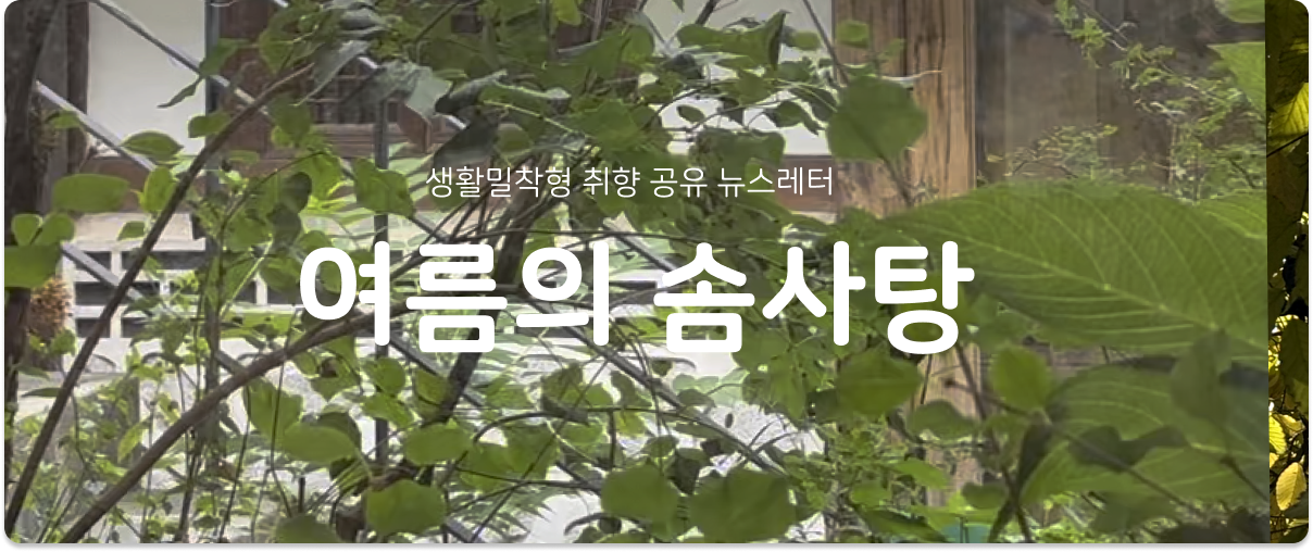 [여름의 솜사탕] #208 이름 뒤에 '응원해'라고 쓰는 마음의 썸네일 이미지