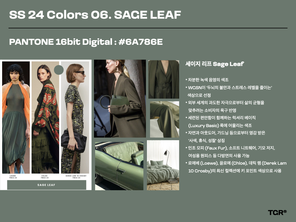 세이지 리프 Sage Leaf | PANTONE 16bit Digital : #6A786E