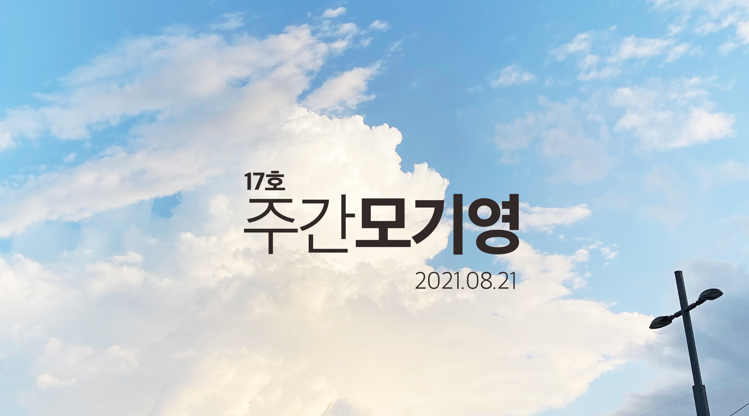 17호 주간모기영