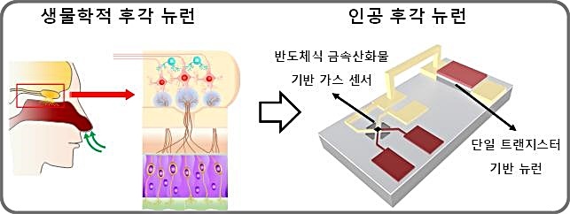 뉴로모픽 반도체 모듈 개념도