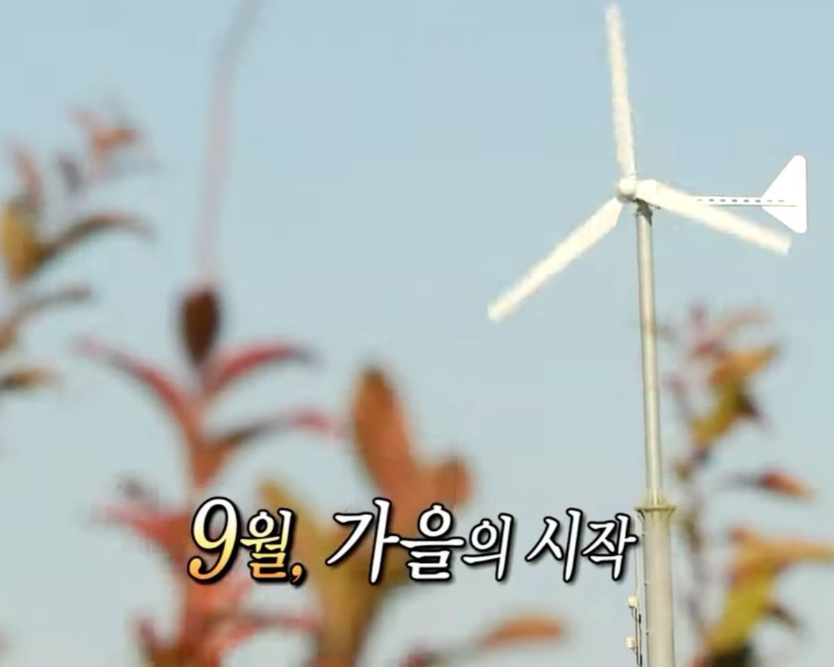 Oh it's you!의 썸네일 이미지