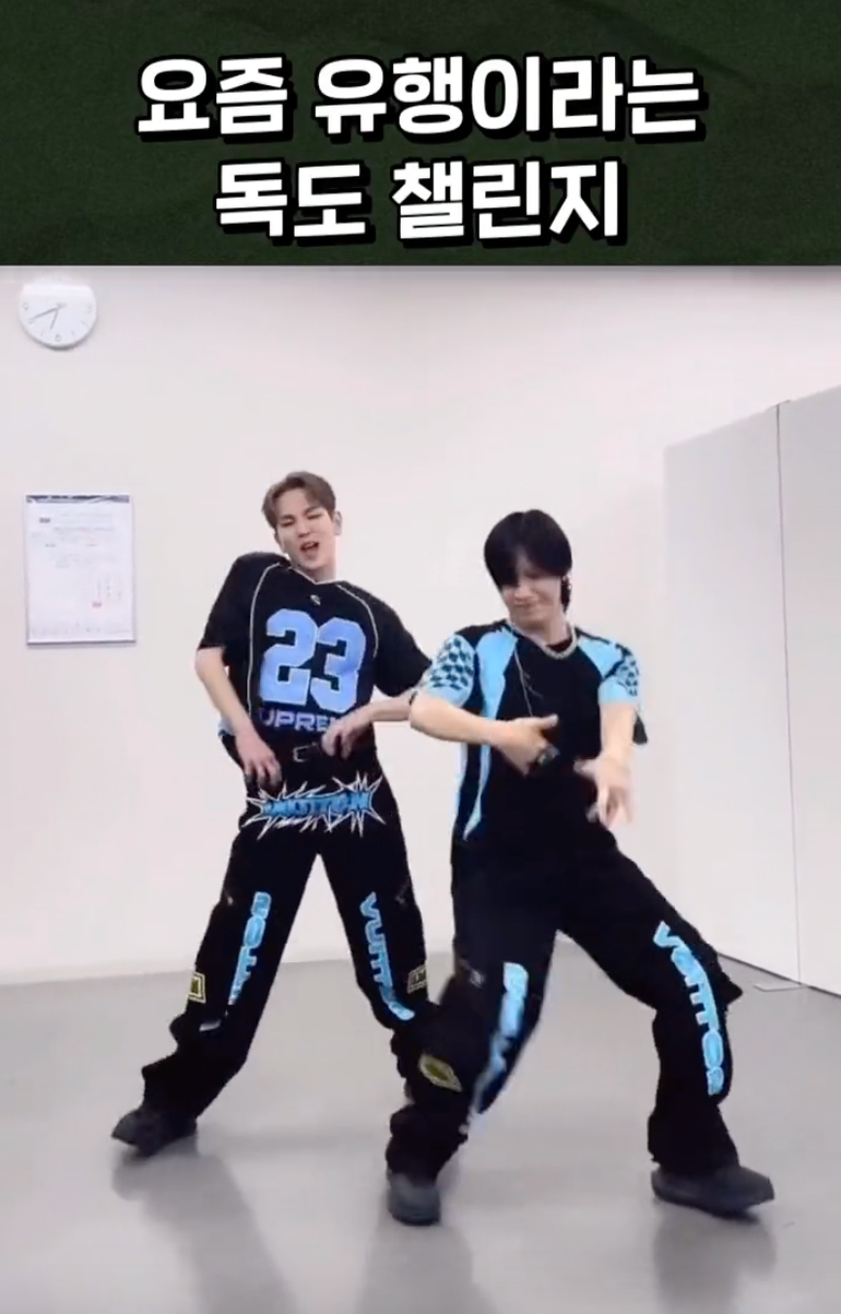 이미지 = 틱톡 캡쳐(https://www.tiktok.com/@humor_gallary/video/7299879337757510920?is_from_webapp=1&sender_device=pc&web_id=7196813281578026498)