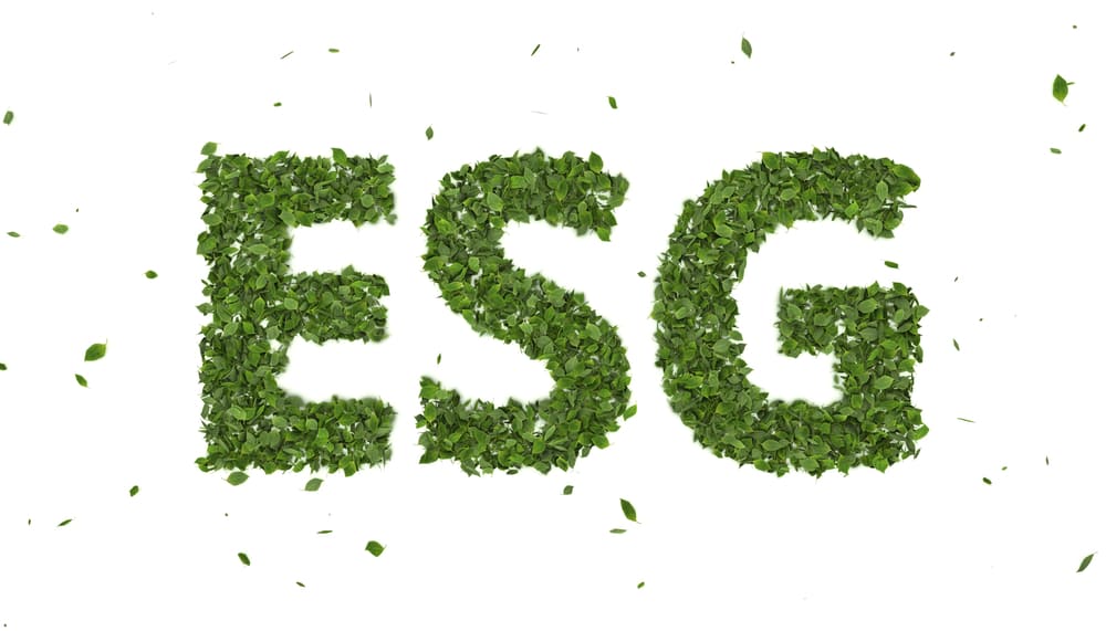 ESG ILLUSTRATION