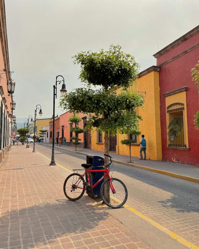 독서의 목적이 '지식 습득'이 아니라, '언어능력 체화'일때의 선택지의 썸네일 이미지