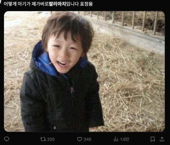 이미지 = X캡처 (https://x.com/kimchipizzza/status/1932798829138731026)