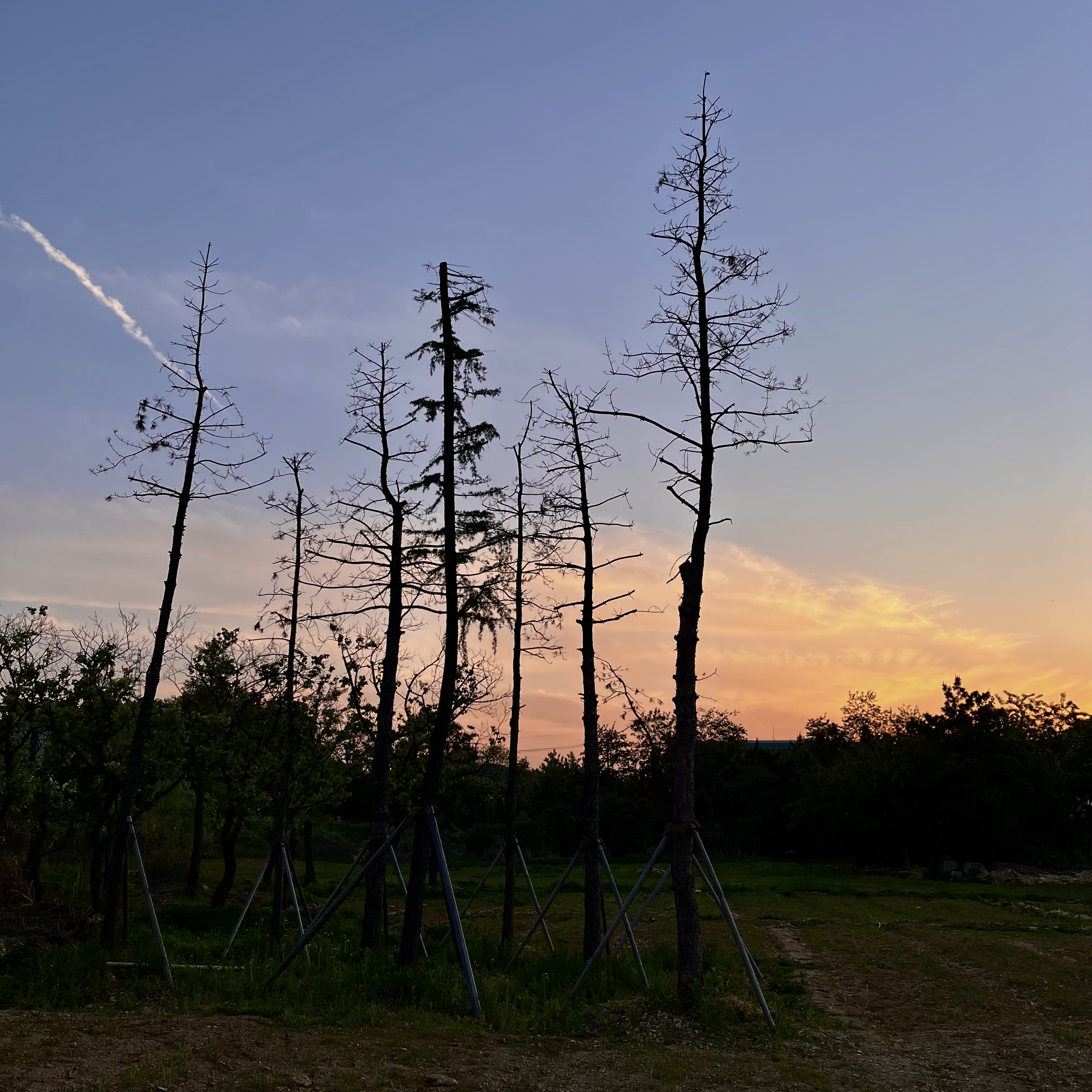 어제는 오랜만에 꽤 걸었어요.요즘 날씨가 참 좋아요.