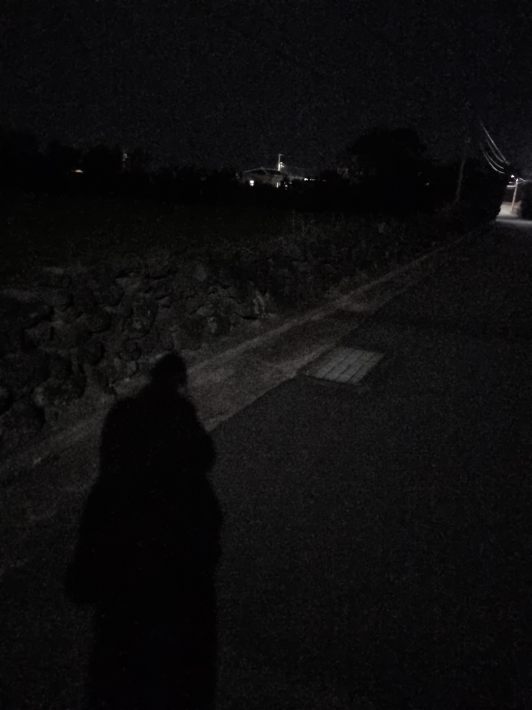 밤에 갑자기 나가지 마세요