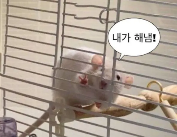 이미지 = 네이버 블로그 캡처 (https://blog.naver.com/yoo_jitsu/223493503893)