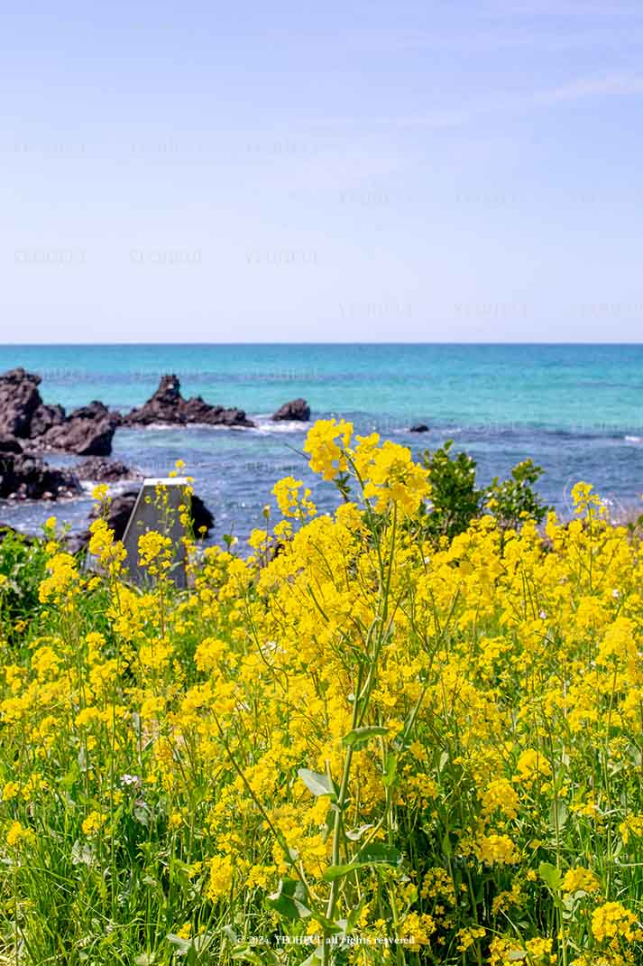 미아님에게 곧 다가올 봄을 전합니다.