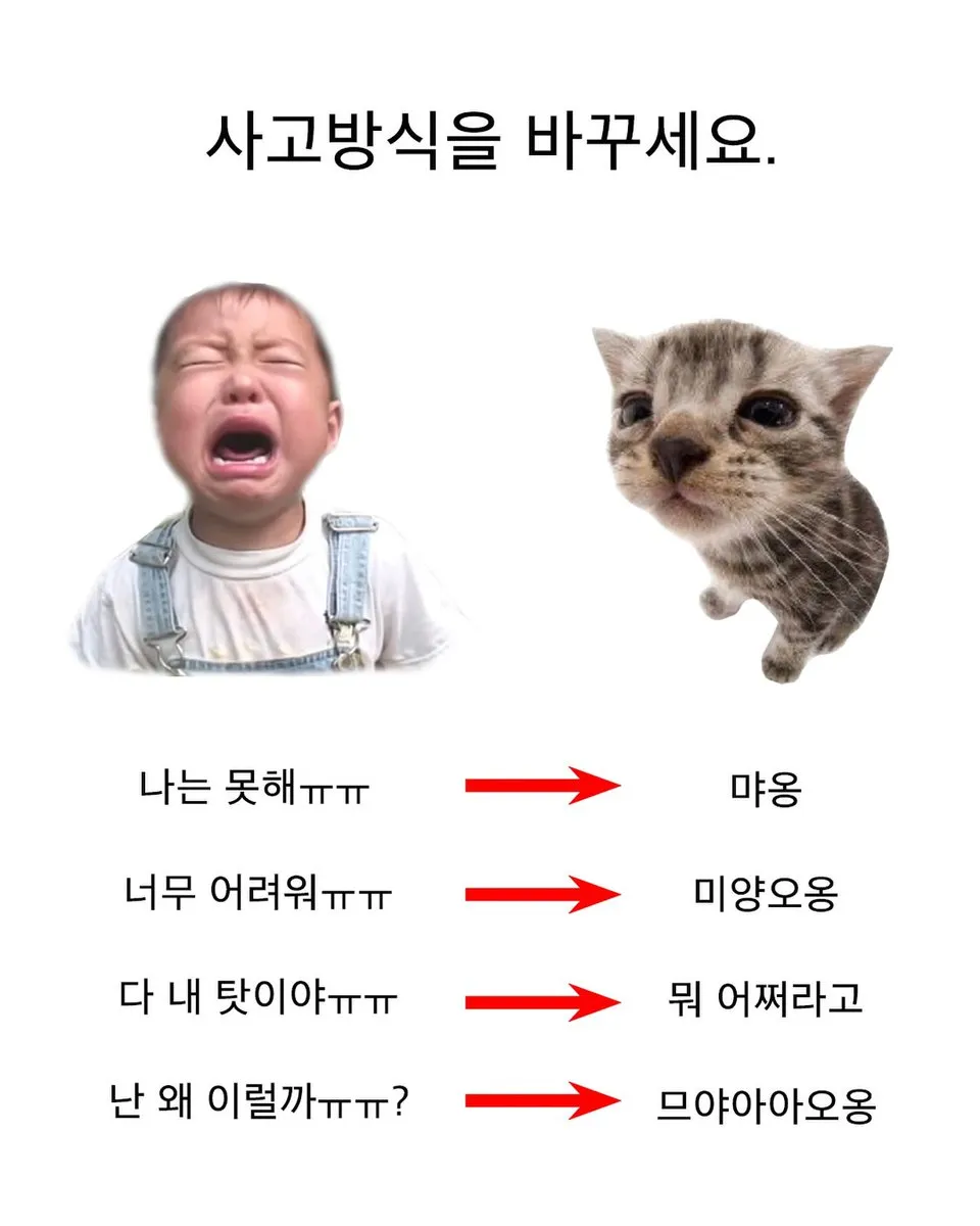 이미지 = X 캡처 (https://x.com/bback_it_up/status/1946908004508696767)