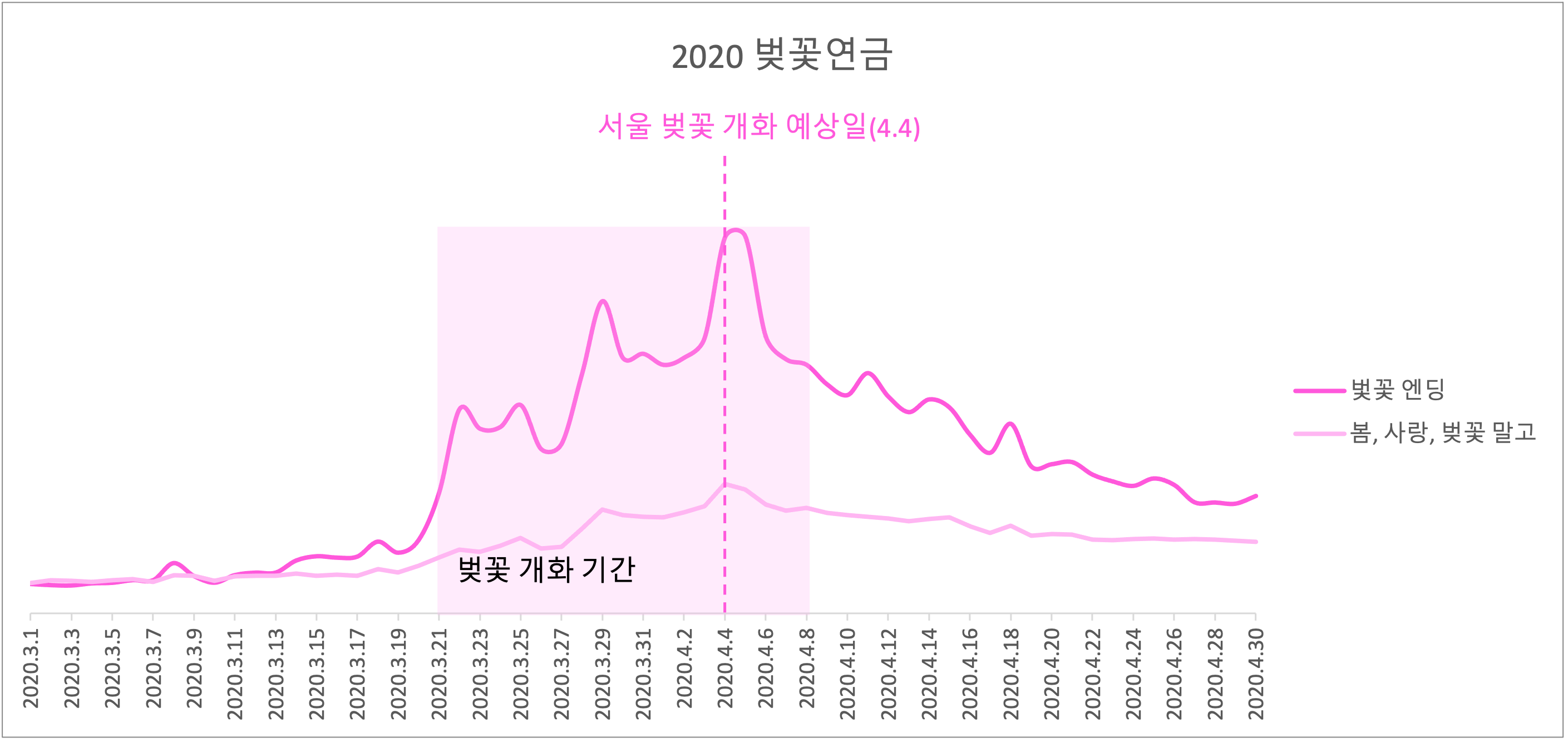 4월 5일의 벚꽃송 피크, 일요일이었습니다.