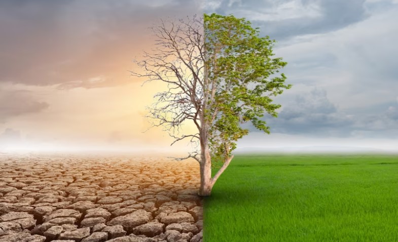 이미지 출처:&nbsp;https://www.freepik.com/