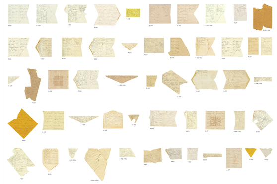 에밀리 디킨슨의 시가 적힌 종이들