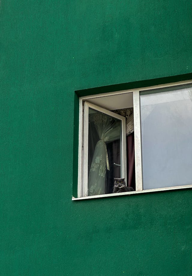 내게 들어오는 제안의 종류와, 본인의 객관적인 수준 파악법의 썸네일 이미지