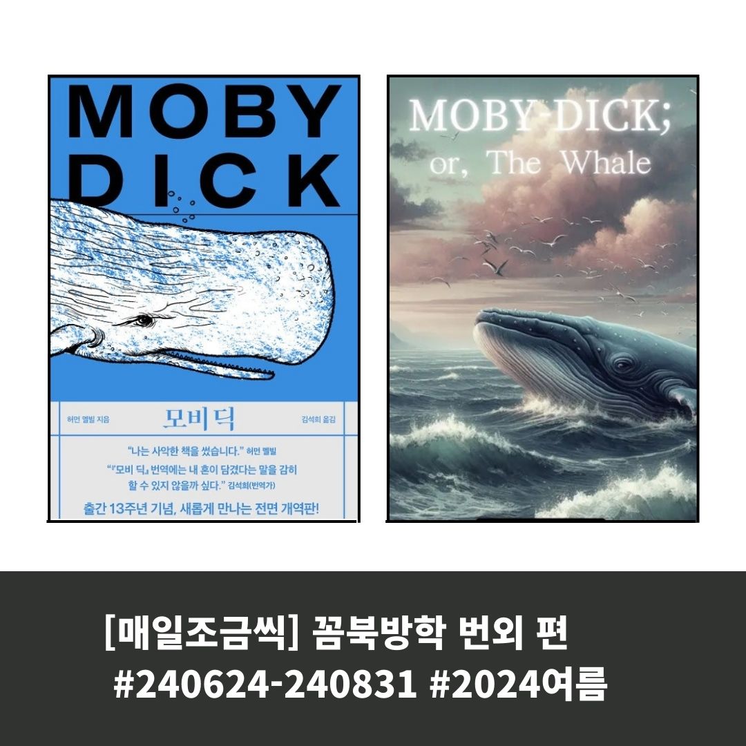 2024년 여름, 난 사악한 책 한 권과 동거하기로 했다_이정의 썸네일 이미지