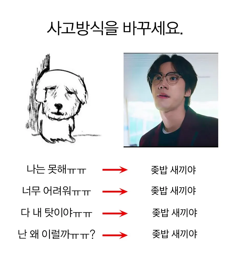 이미지 = X 캡처 (https://x.com/leeee_love/status/1948743127600431556)