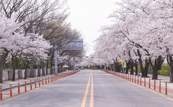 출처) 영등포구