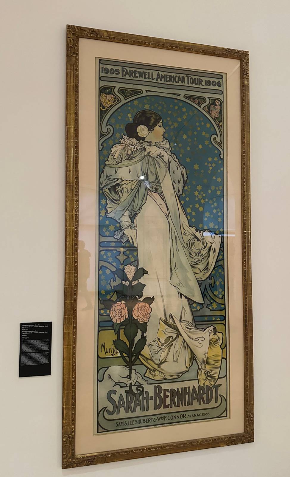 사라 베르나르 포스터 @헤이즈진  