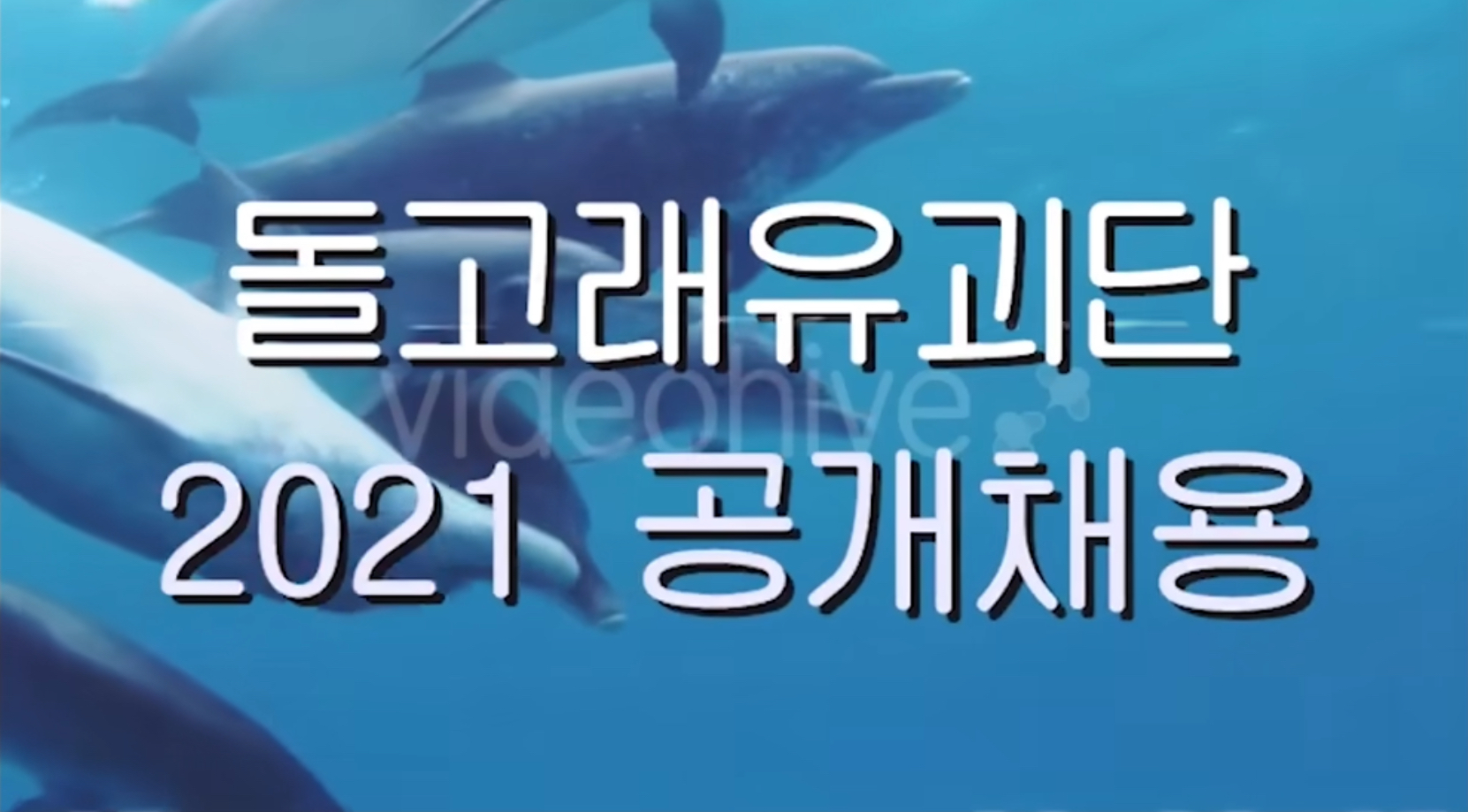 유튜브ㅣ돌고래유괴단