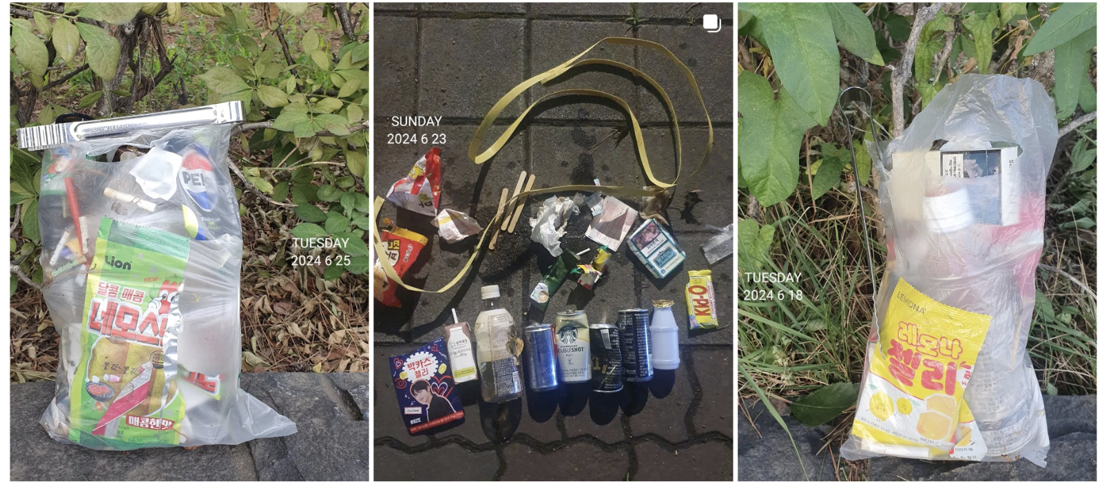 사진 출처 byeolhanadalhana IG