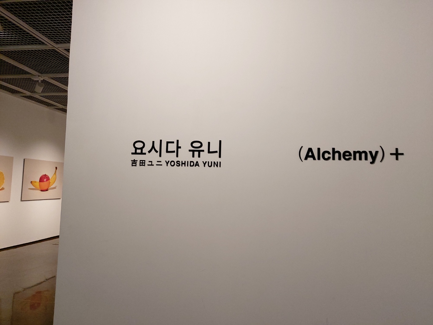 《YOSHIDA YUNI : Alchemy+》 전경