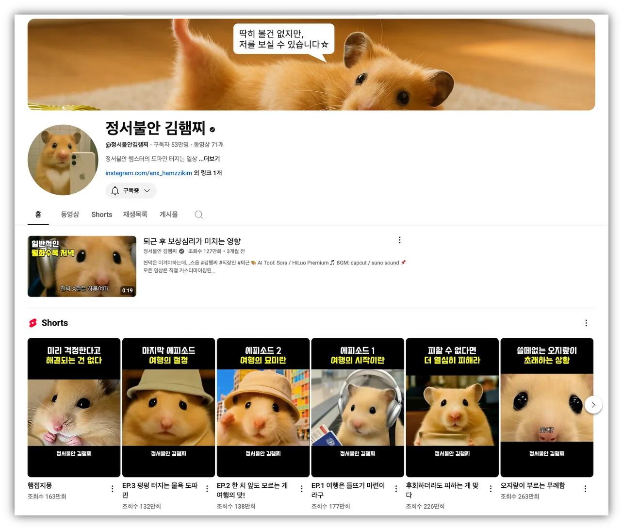 출처 : 정서불안 김햄찌 유튜브