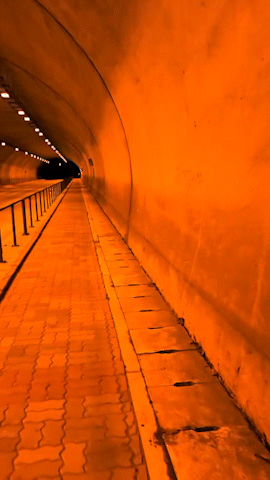 종말 영화 재질