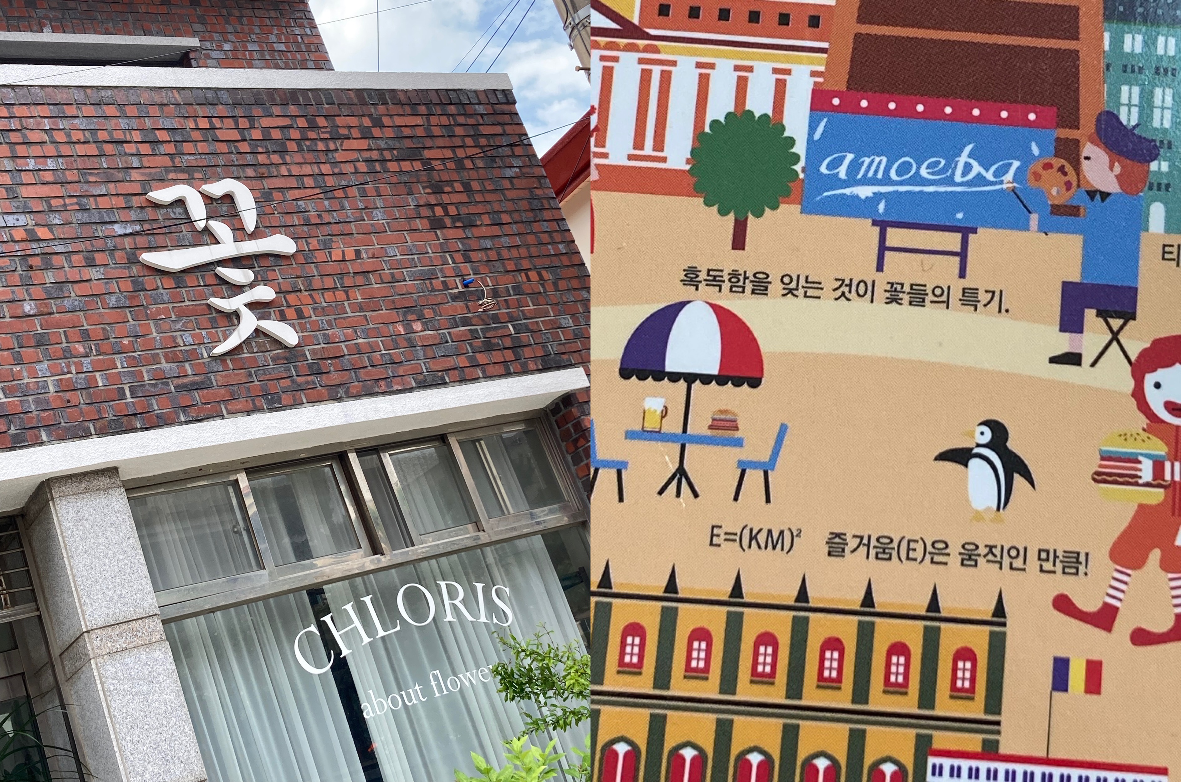 우리는 우리 나름대로 이미 완벽한 존재라는 거, 잊지 말자고요!&nbsp;👸🏻 이왕 부딪혀보기로 했다면, 여유롭게 툭툭 털어내고 일어나요. 우리가 꽃들과 다를 게 뭐예요, 안 그래요?